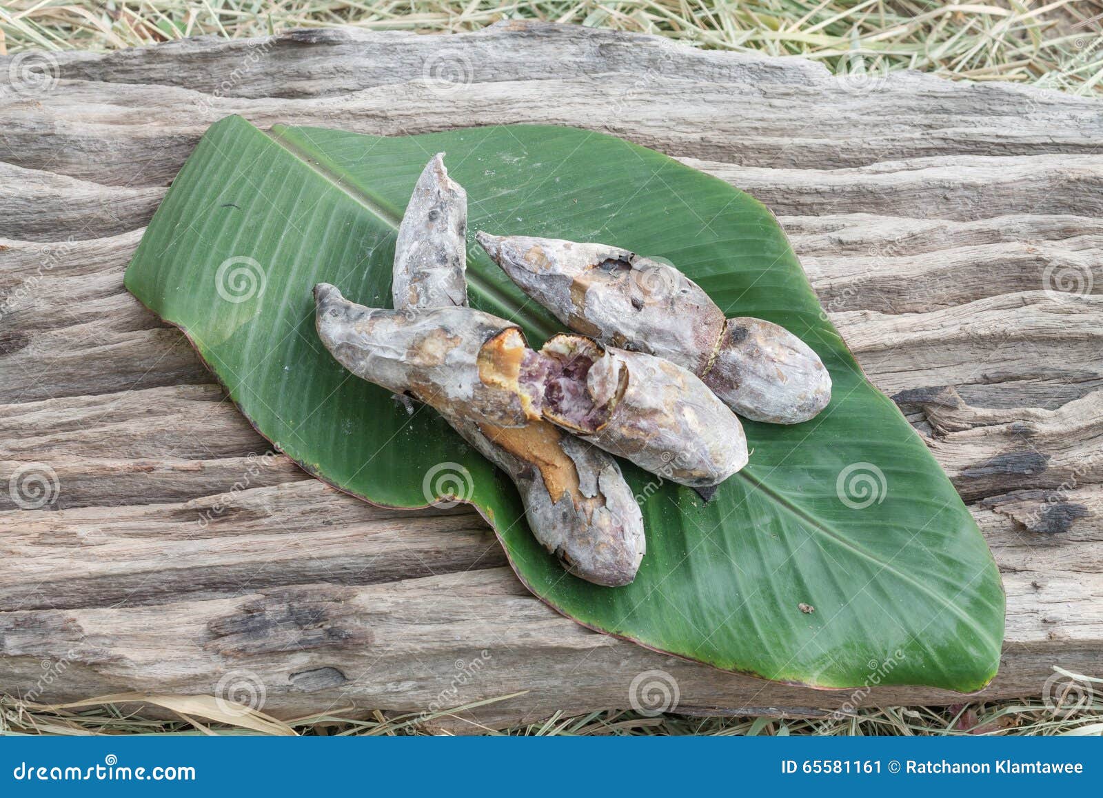 Burned sweet potato stock image. Image of wood, leaf 65581161