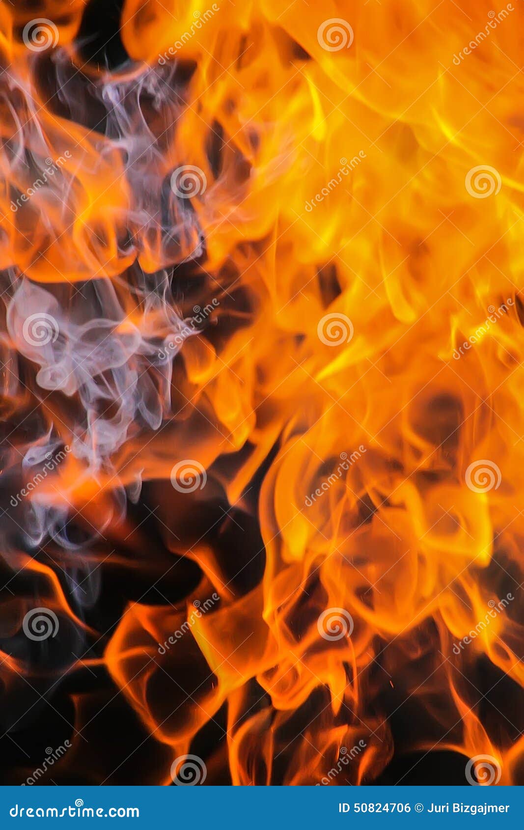 Burning birch firewood stock photo. Image of outdoors 50824706