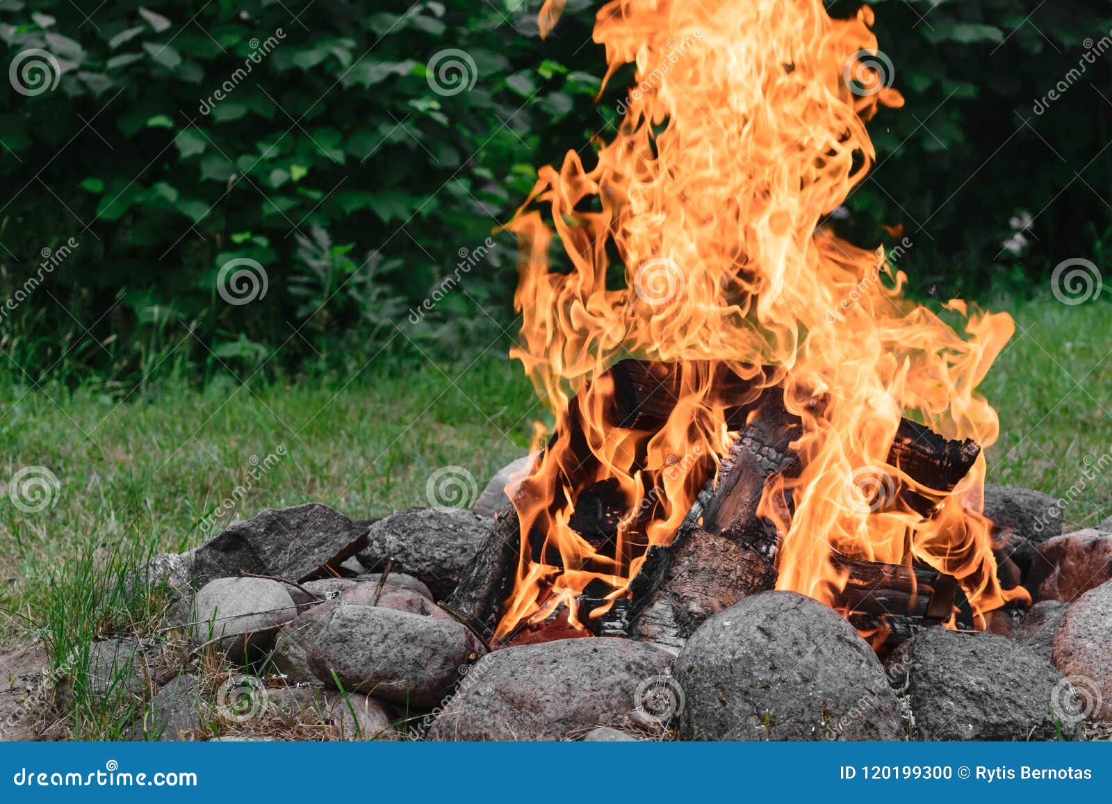 Burning Bonfire with in Round Fireplace from Stones in the Nature Stock ...