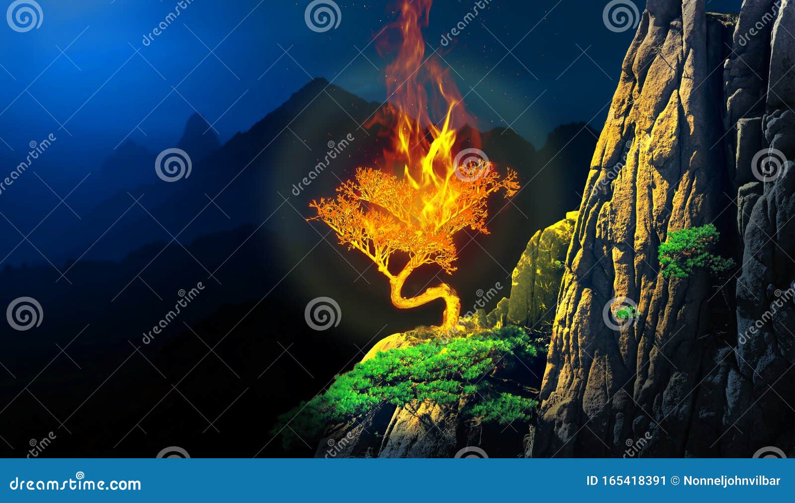 burning bush plant in a cliff of a mountain