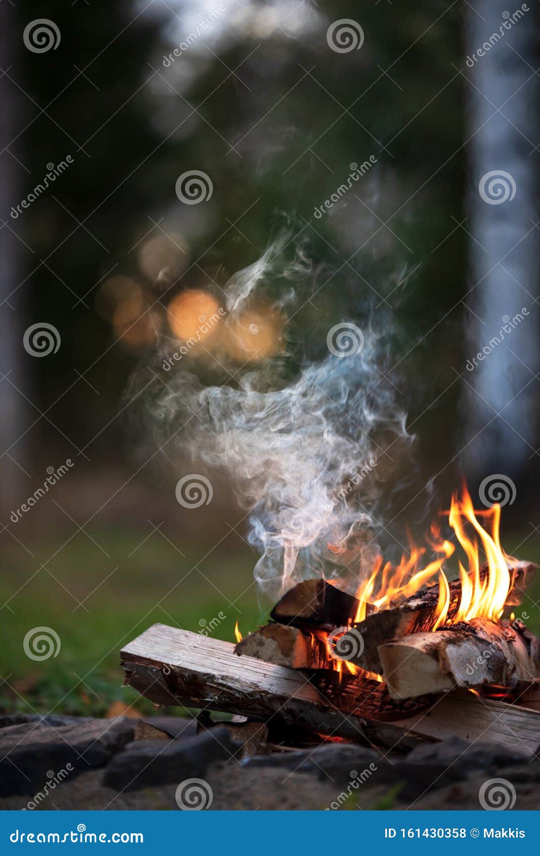Burning Campfire, Birch Forest in the Background Stock Photo Image of burn, campfire 161430358