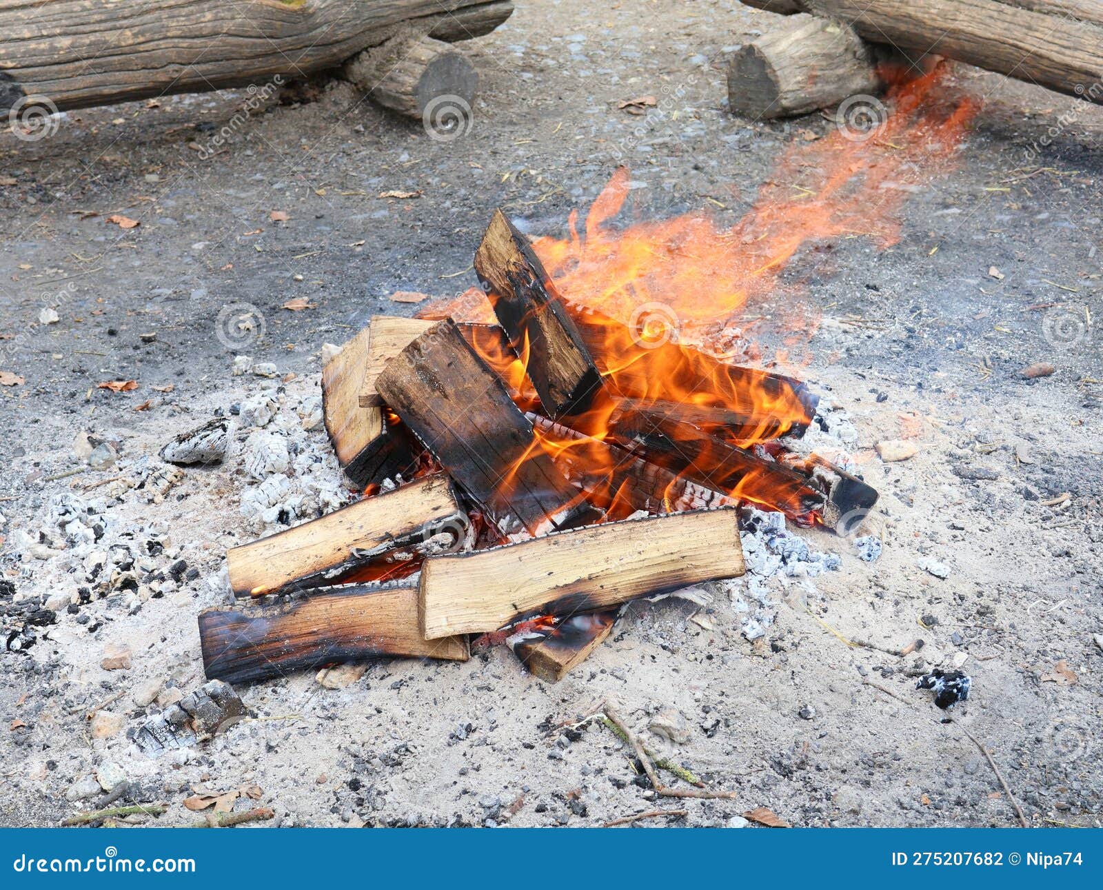Burning Campfire. Blocks of Wood in Flames. Background Camping Benches