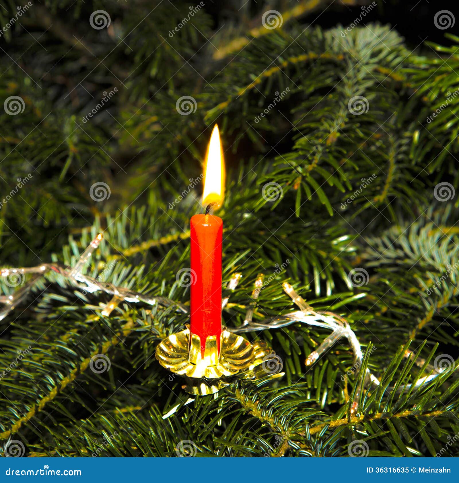 Burning Candle at the Green Stock Image Image of candle, christmas