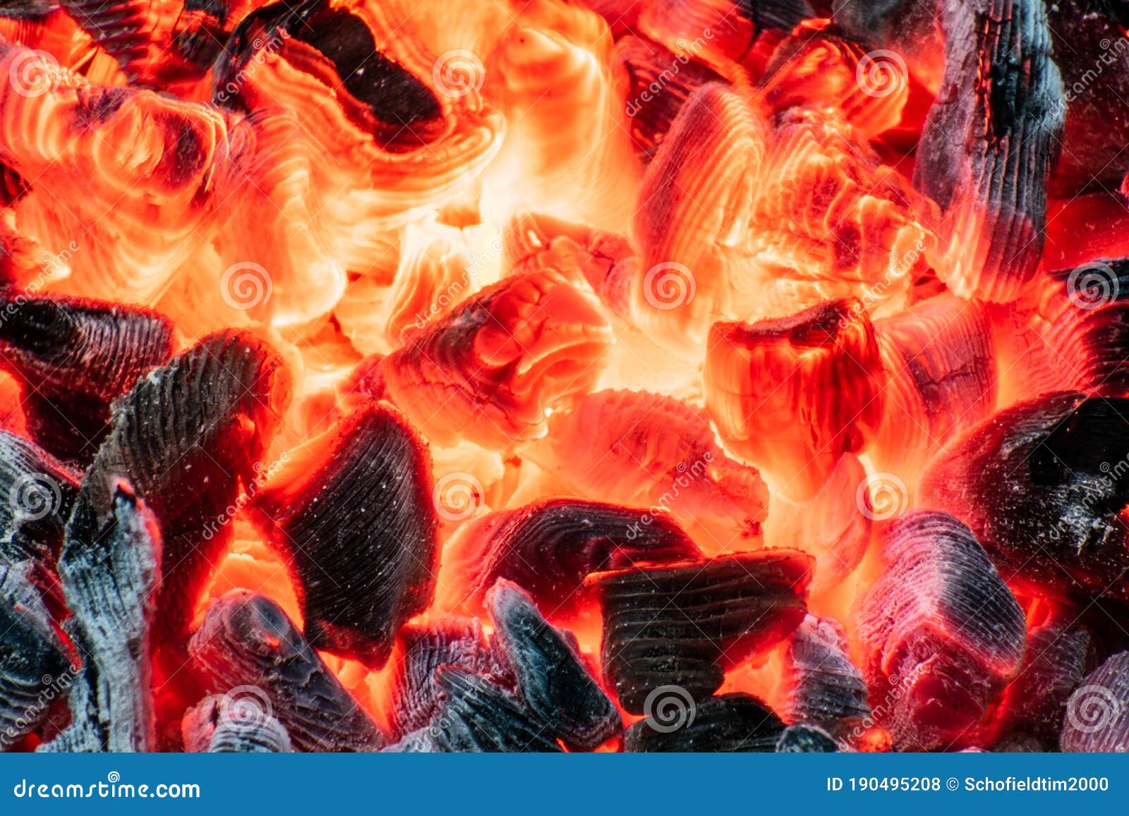Burning Coals in Campfire stock photo. Image of fuel - 190495208
