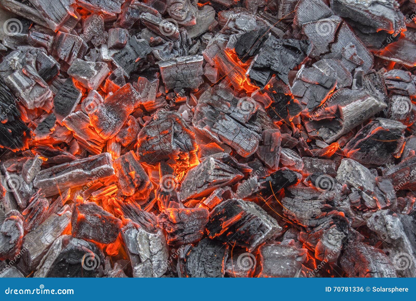 Burning coals stock photo. Image of barbeque, black, ashes 70781336