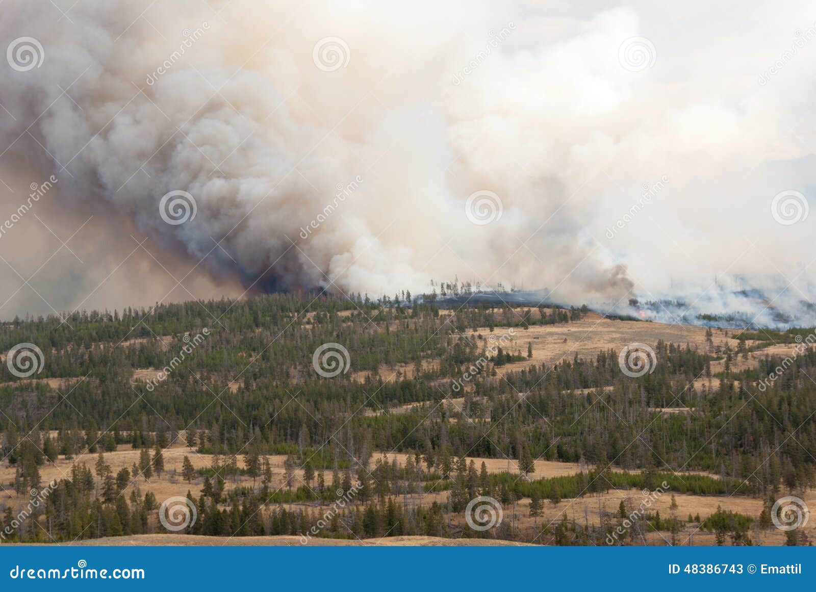 Burning de Yellowstone imagen de archivo. Imagen de fuego 48386743
