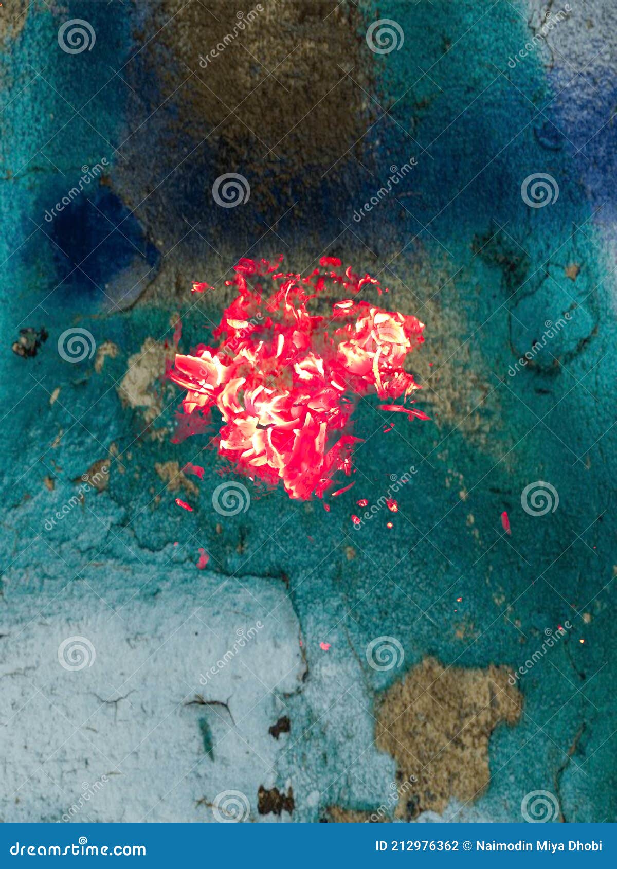 Burning Fire on Black Coal Natural Beautiful Stock Photo Image of