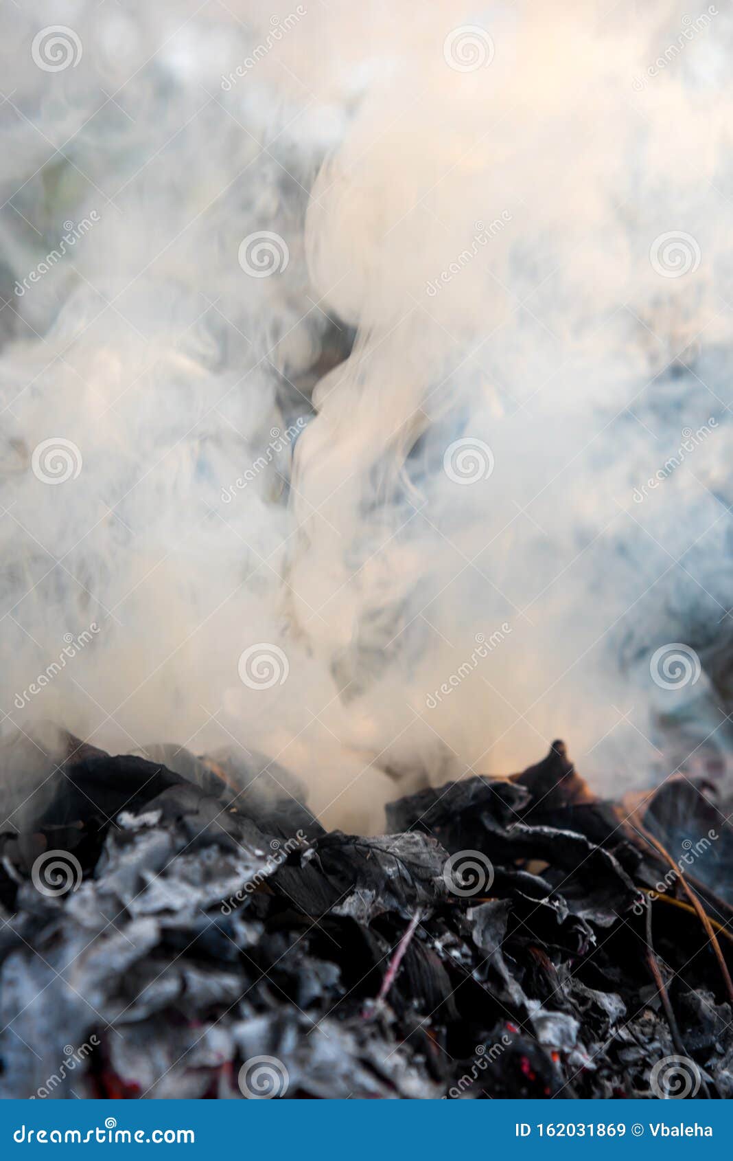 Burning Fire of Dried Leaves Stock Image Image of heat, toxic 162031869
