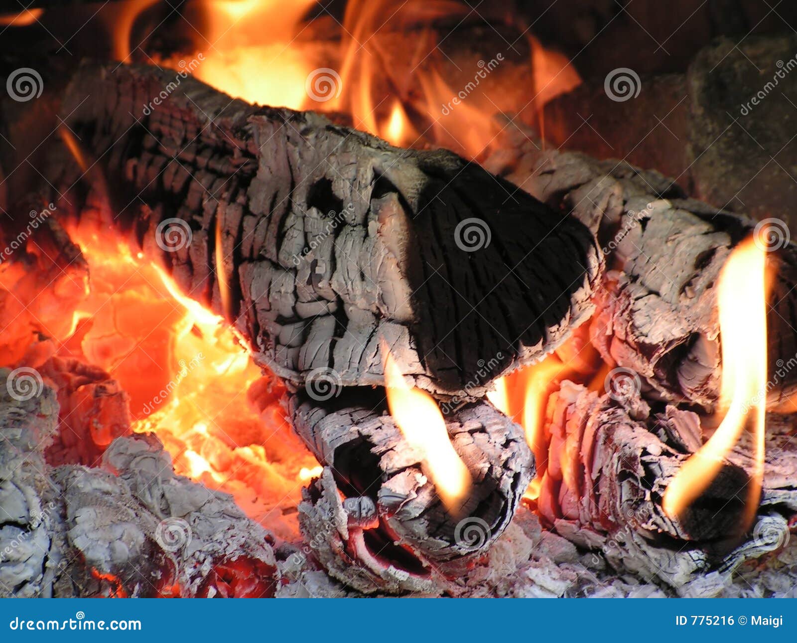 burning fire wood