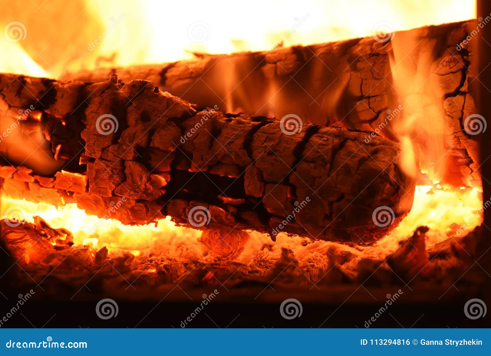 Burning fire wood logs. stock photo. Image of wood, coals 113294816