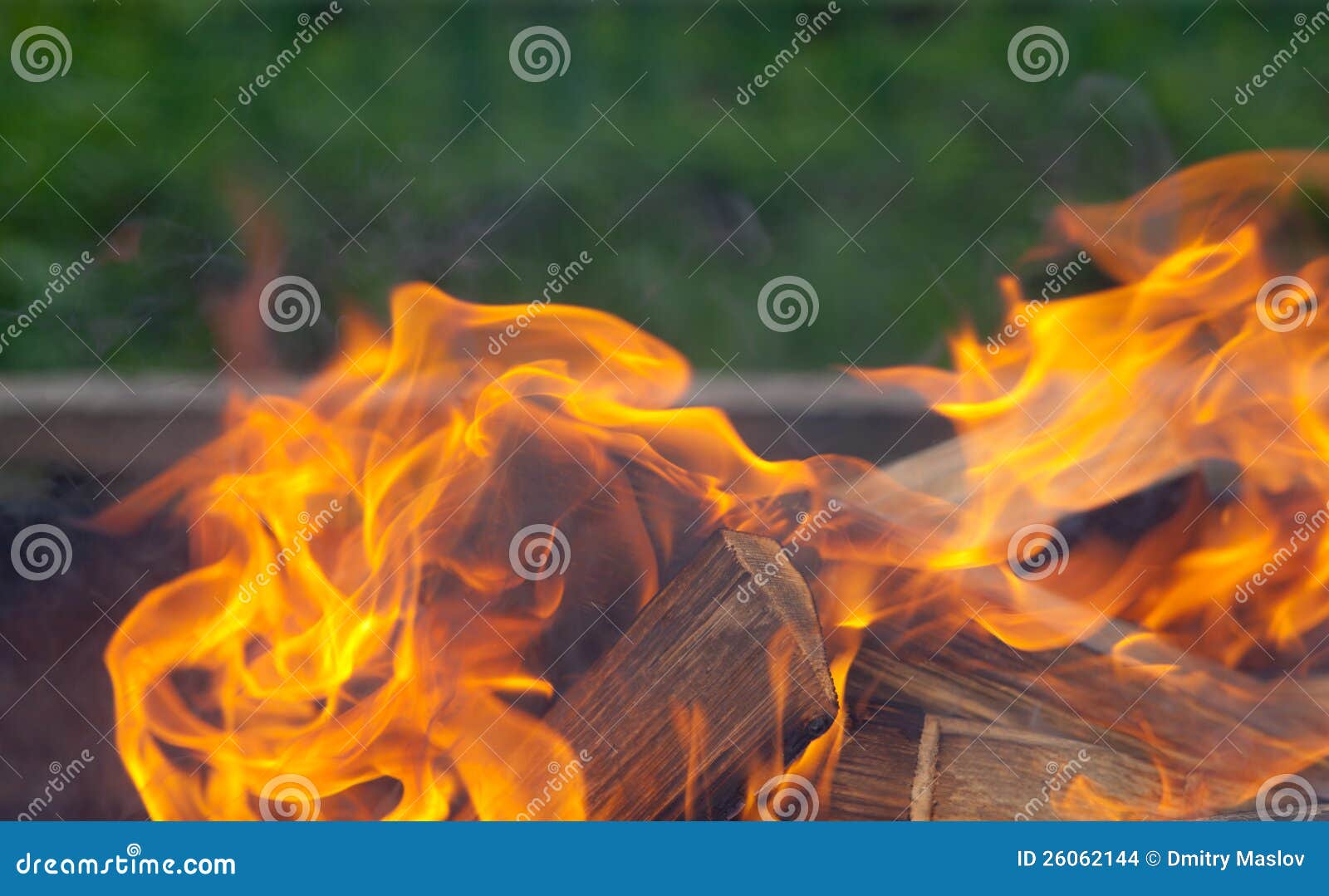 Burning firewood stock photo. Image of woods, bonfire 26062144