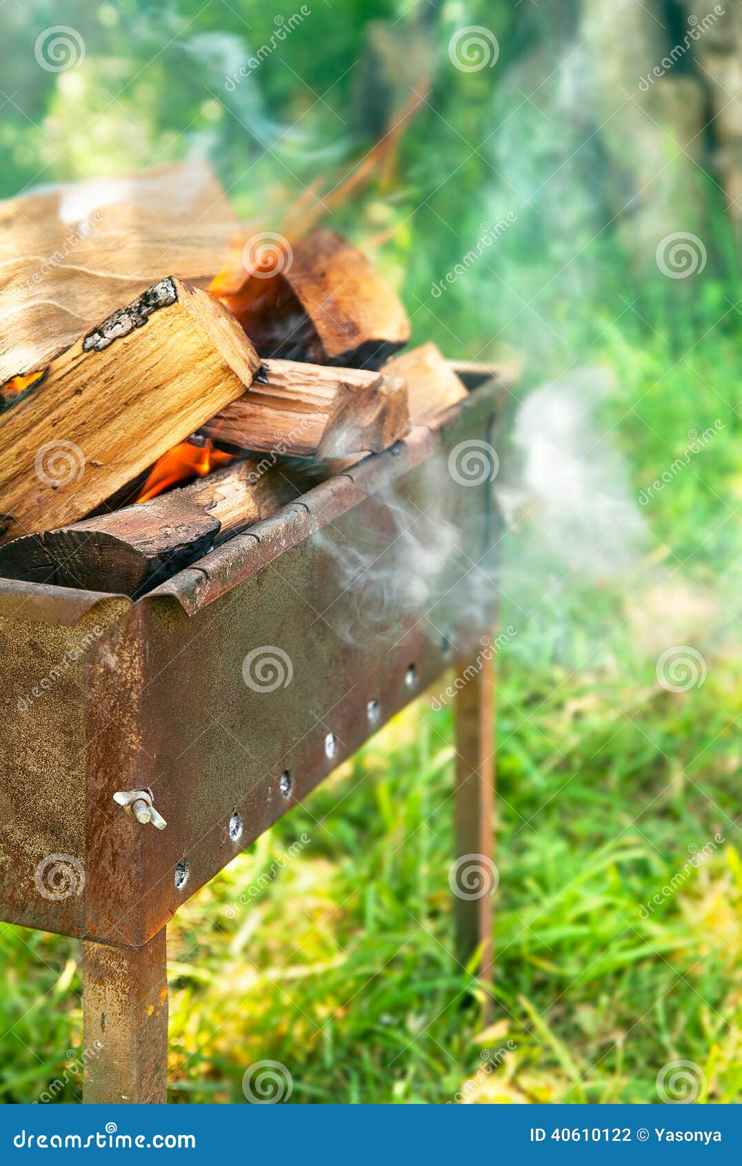 Burning Firewood in Brazier on Green Lawn Stock Photo Image of green