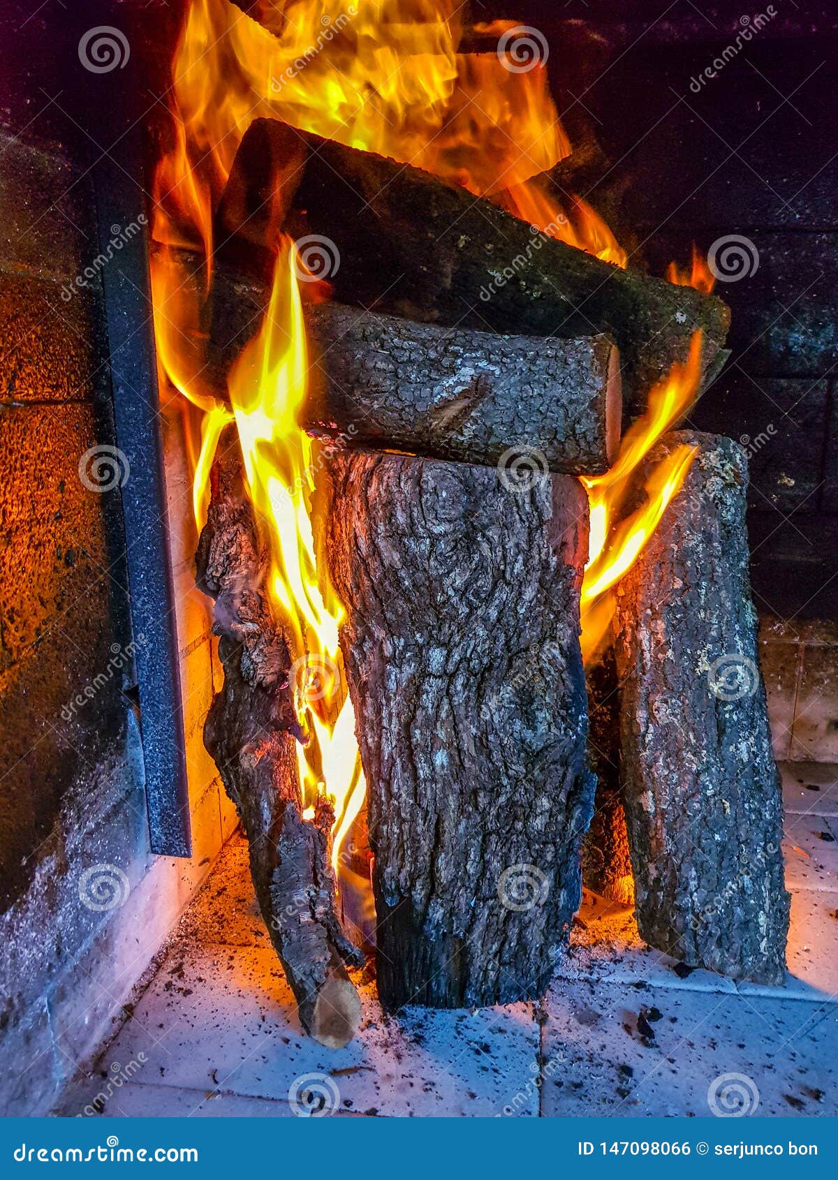 Burning Firewood in the Fireplace Closeup, Glowing Logs, Fire and