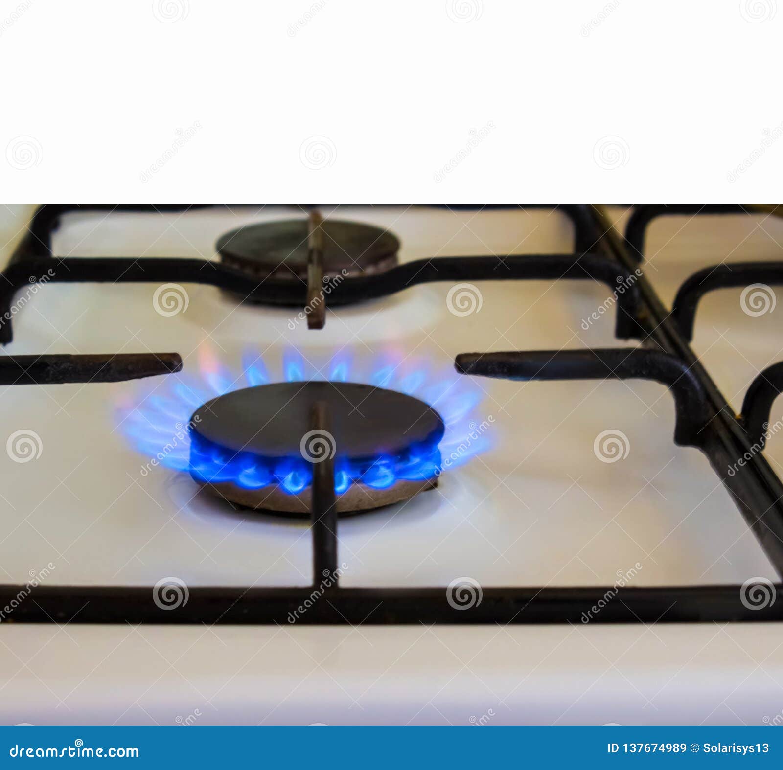 Burning Gas, Gas Stove Burner, Hob in Kitchen. Stock Image Image of