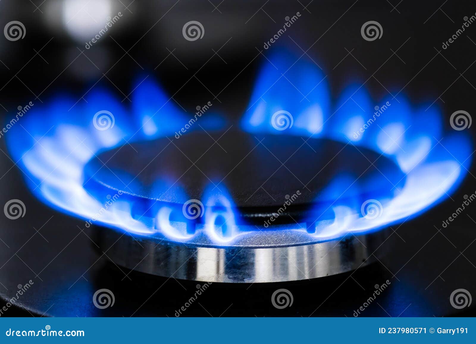 A Burning Gas of Stove Flame. Stock Image Image of kitchen, propane