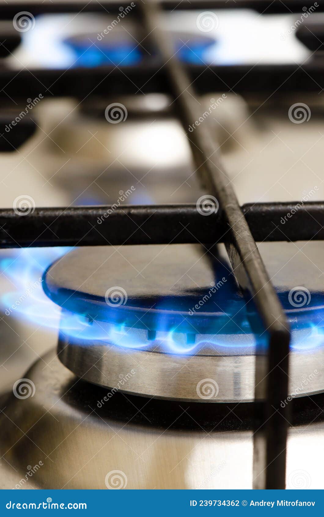 A Burning Gas Stove. the Use of Natural Gas at Home and in the Kitchen