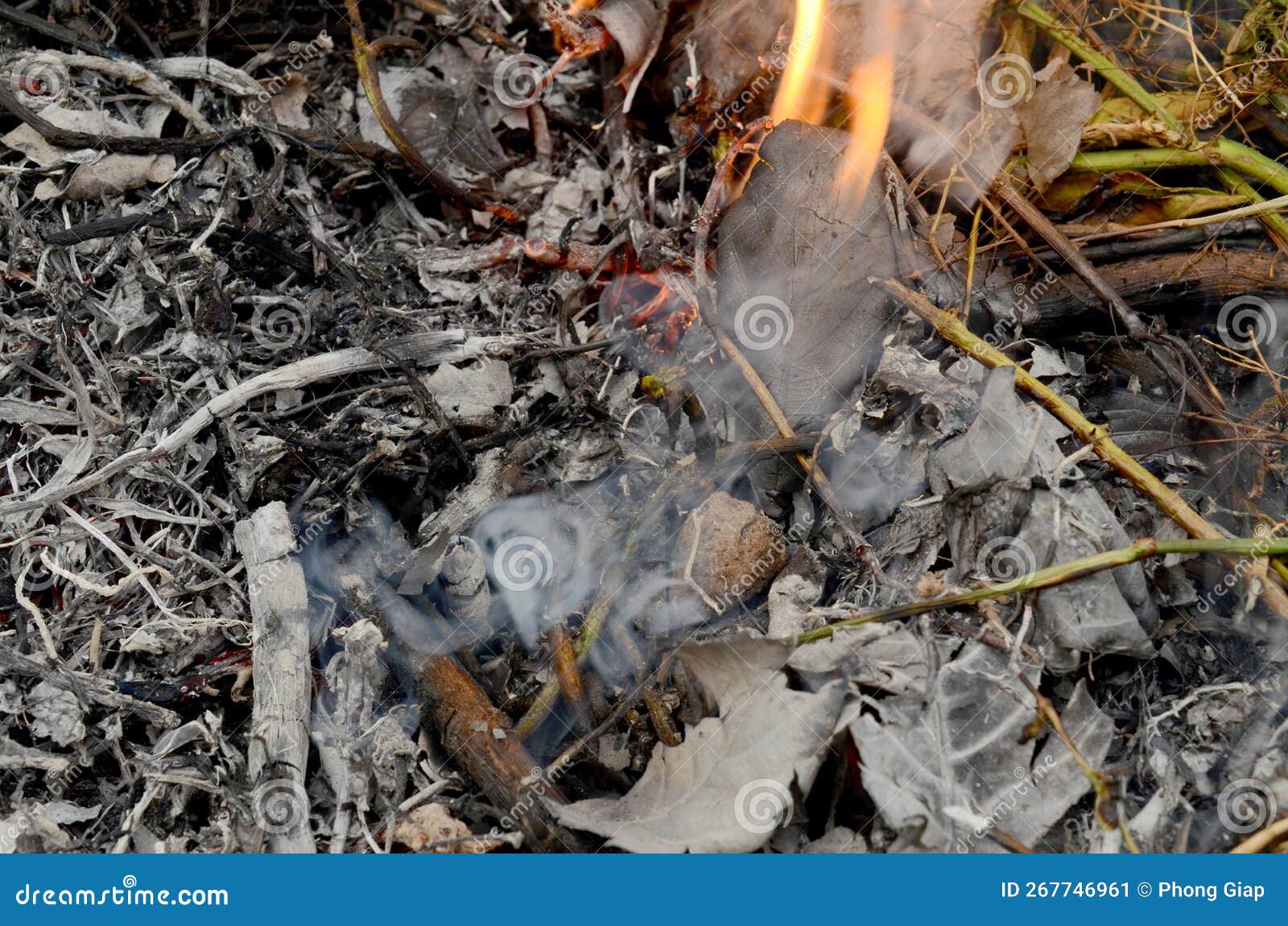 Burning leaves & smoke stock image. Image of consuming 267746961