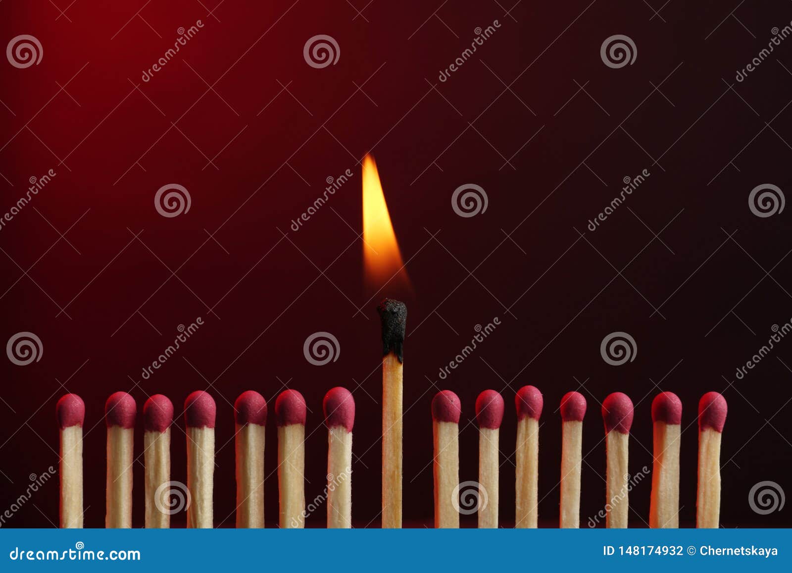 Burning Match Among Others. Difference And Uniqueness Concept Stock ...