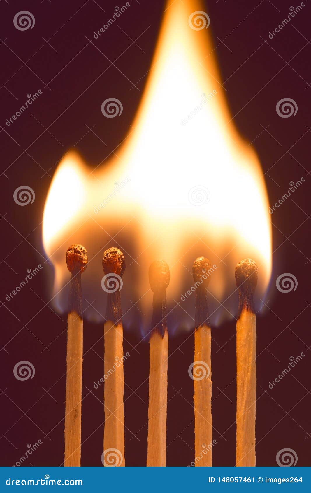 Burning matches stock image. Image of flame, fire, closeup 148057461