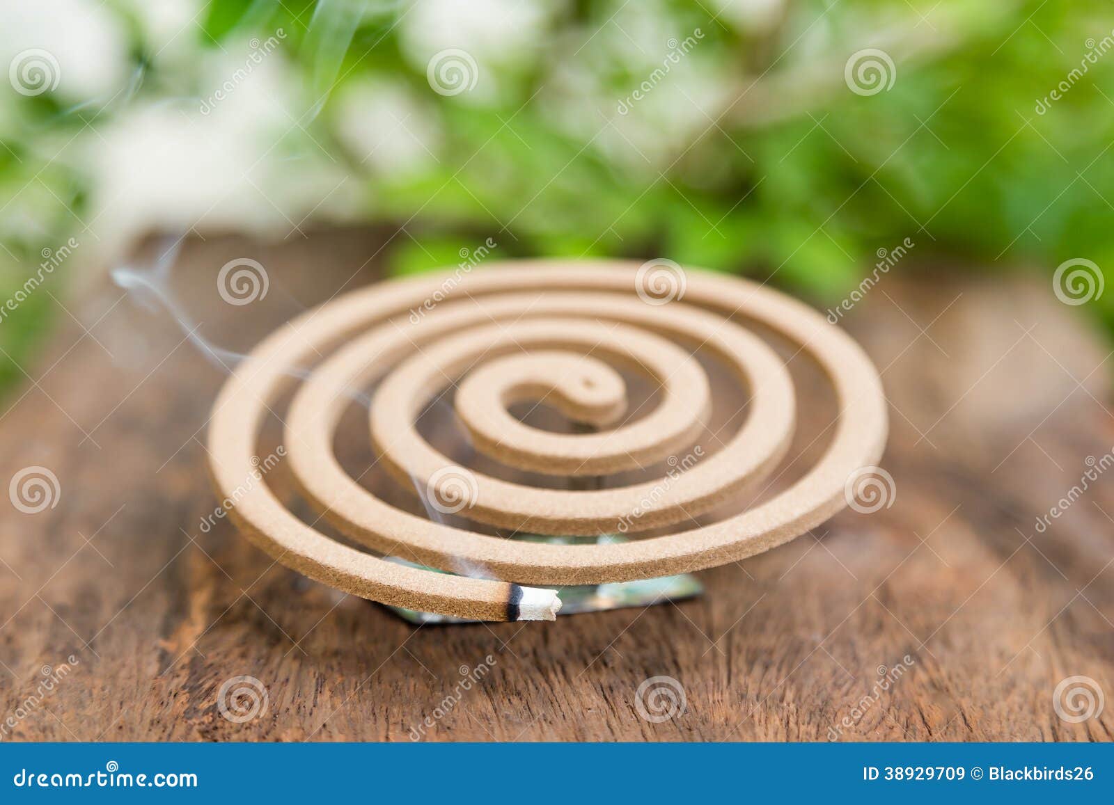 Burning Mosquito Coil Stock Photo Image 38929709