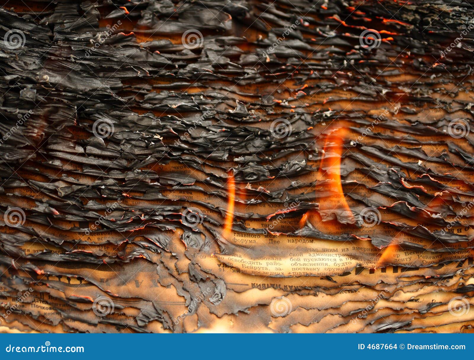 Burning newspapers stock photo. Image of reaction, paper 4687664