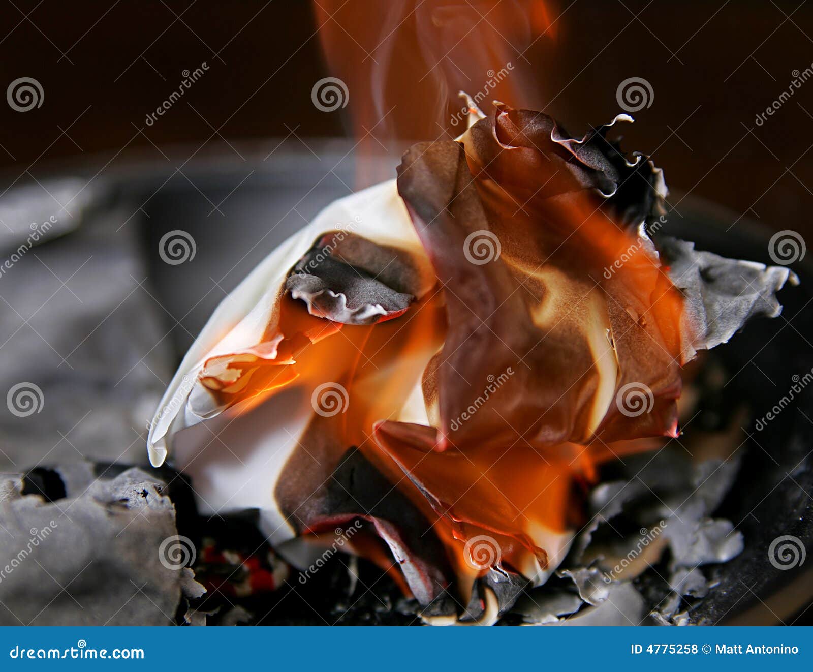 Burning Paper Ash Royalty Free Stock Photos Image 4775258