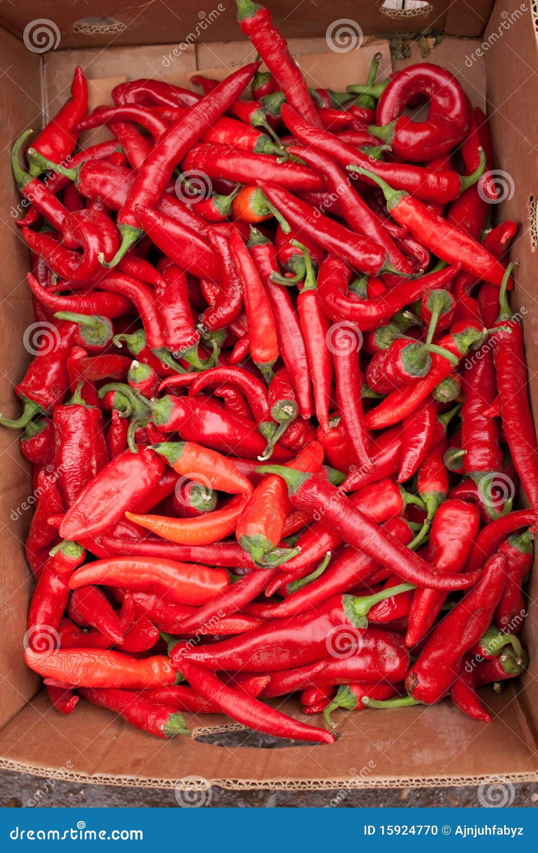 Burning pepper stock photo. Image of nature, cayenne 15924770