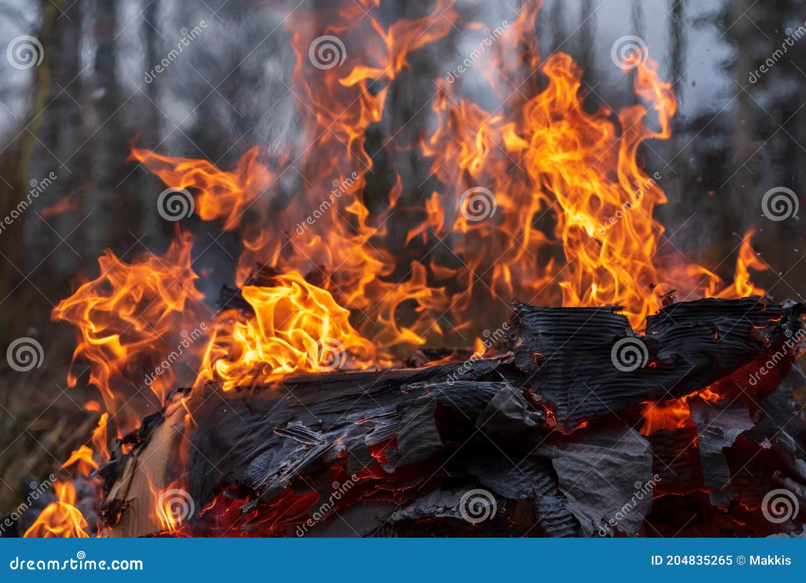 Fire Flames, Burning Pile of Cardboard and Waste Paper Stock Image