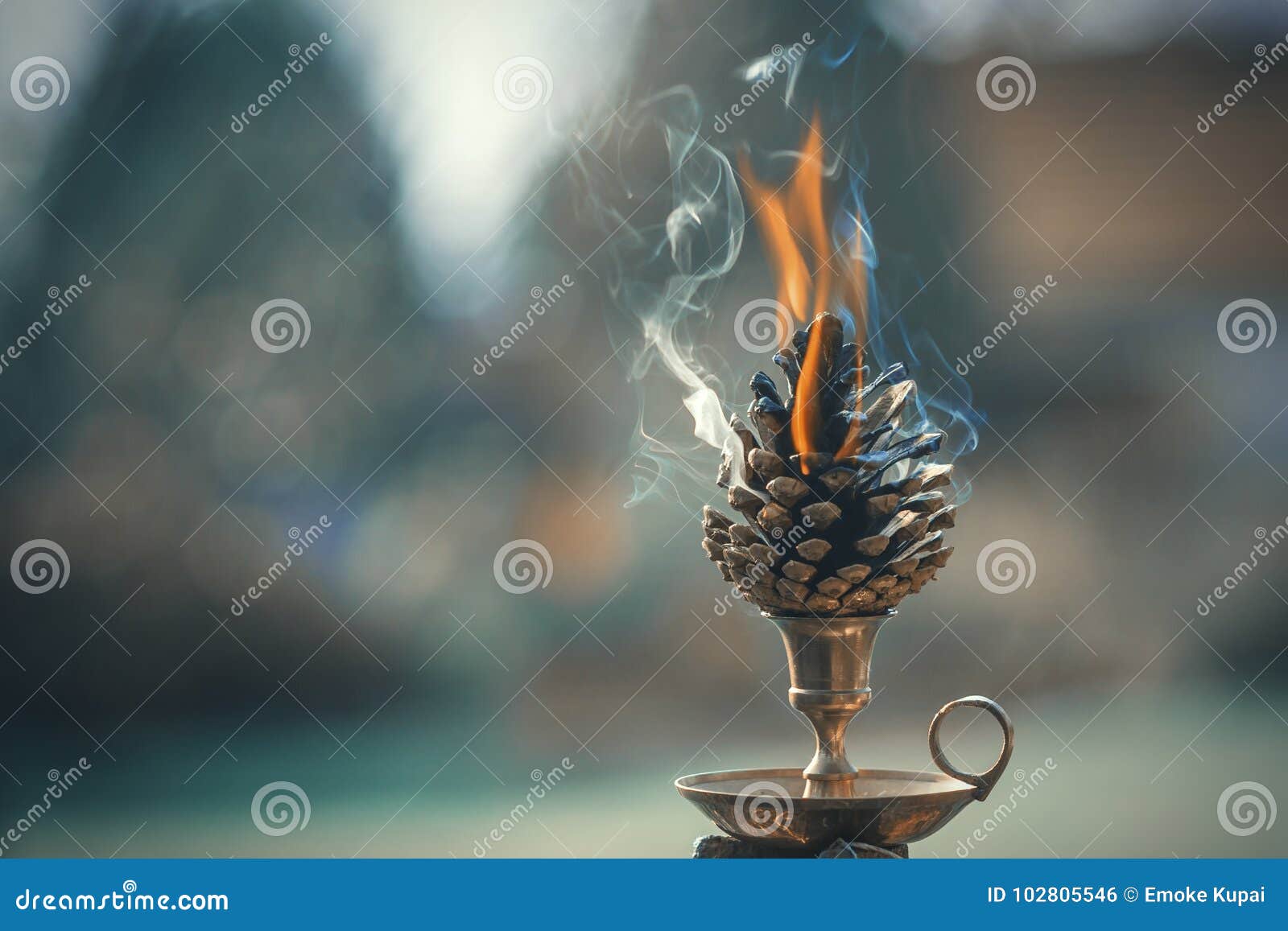 burning pinecone
