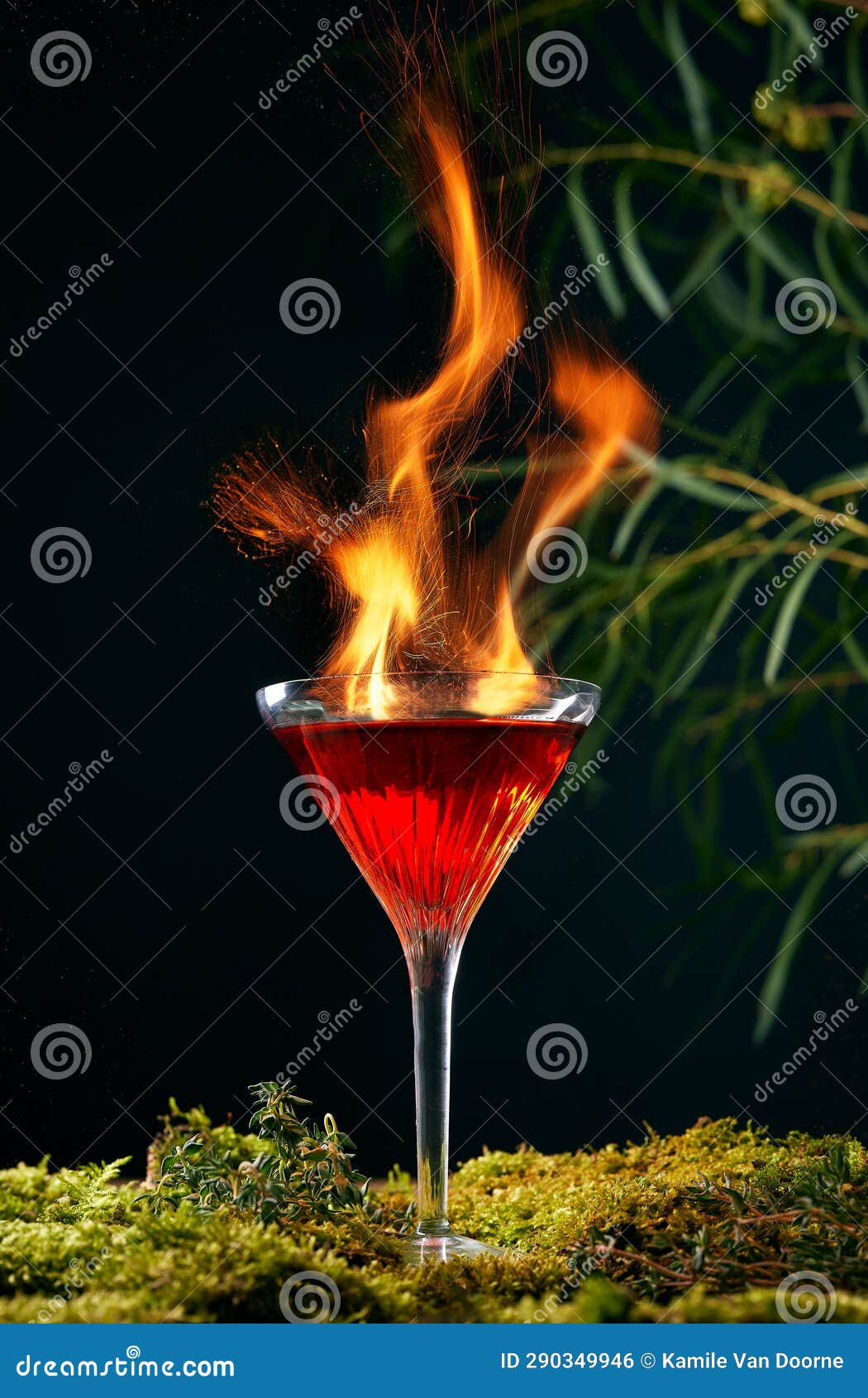 burning red cocktail on a moss and black background