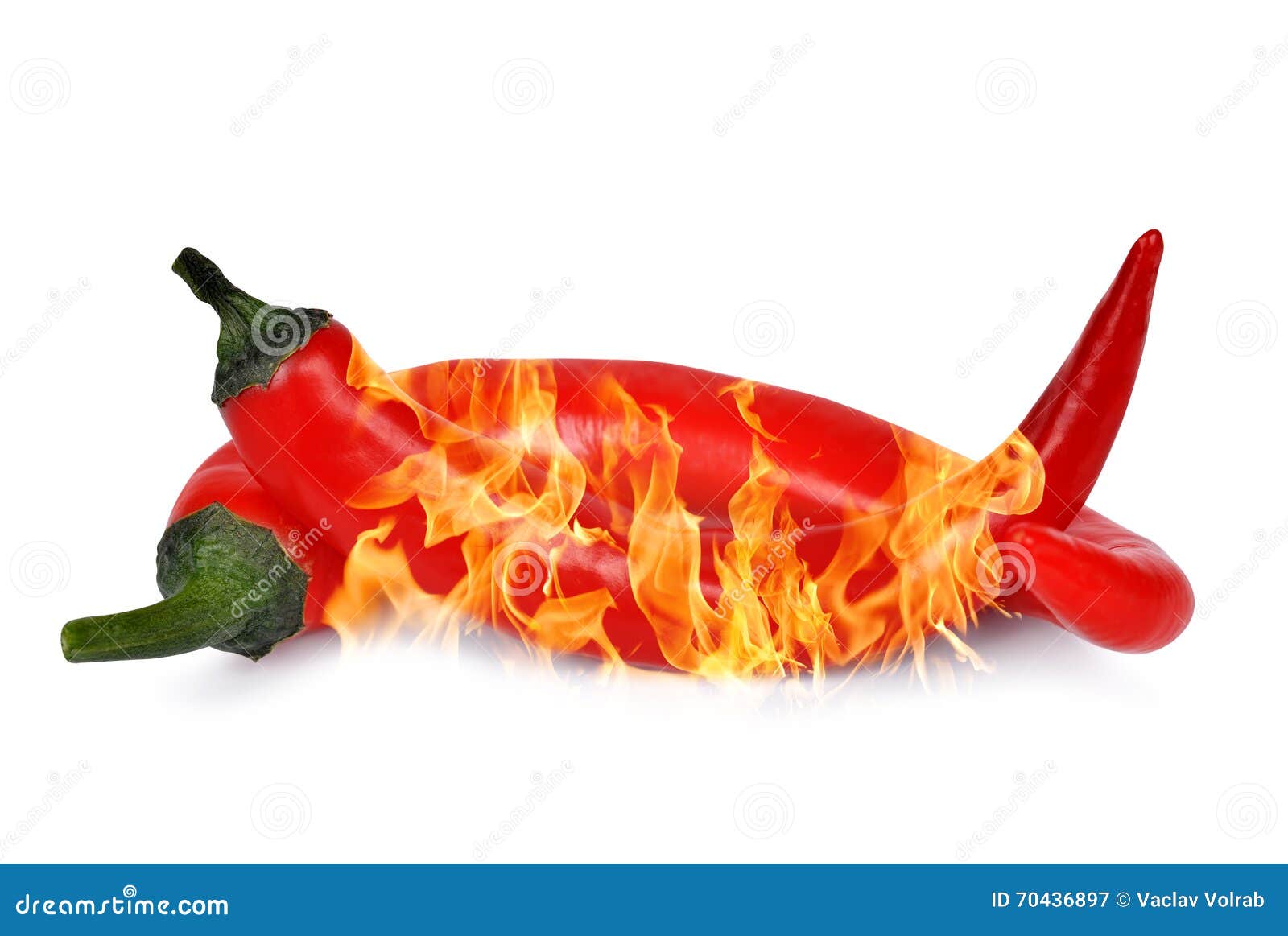 Burning Red Hot Chili Peppers Stock Image Image of chili, fire 70436897