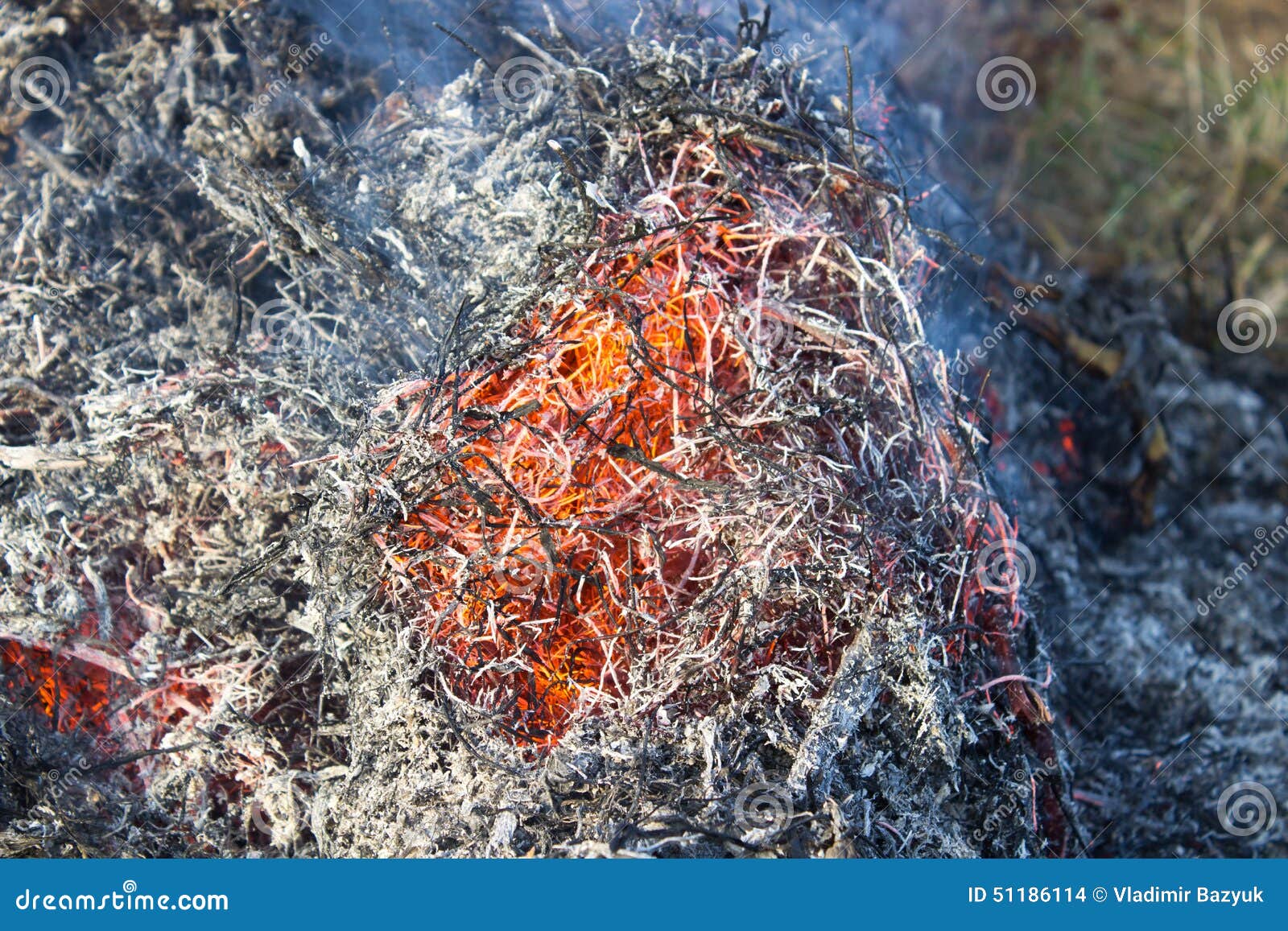 Burning straw closeup stock photo. Image of fire, environmental 51186114