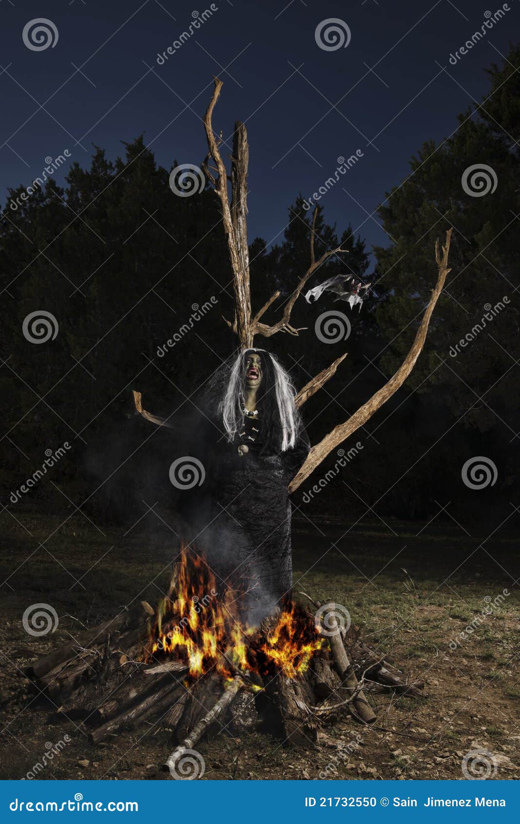 Burning a witch. A witch burning, tide to a tree.