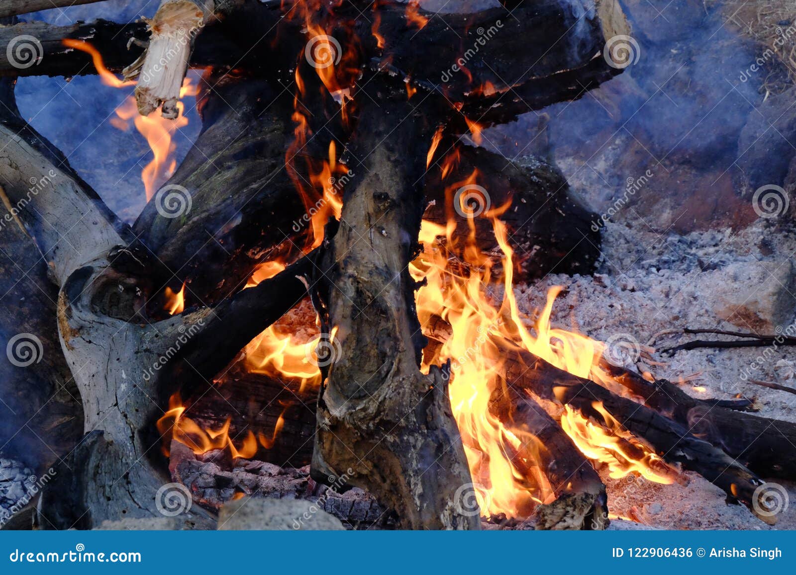 Burning Wood in a Camp Fire Stock Photo Image of embers, burning 122906436