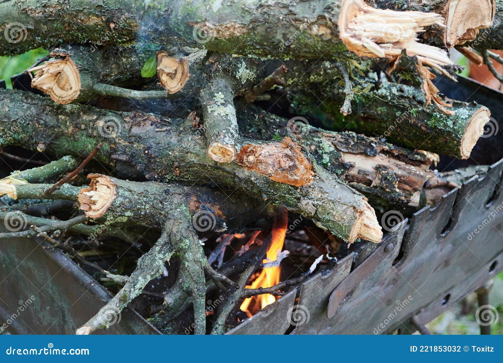 Burning Wood, Fire for Grilling Food. Risk of Fire. Macro Image Stock Photo Image of burning