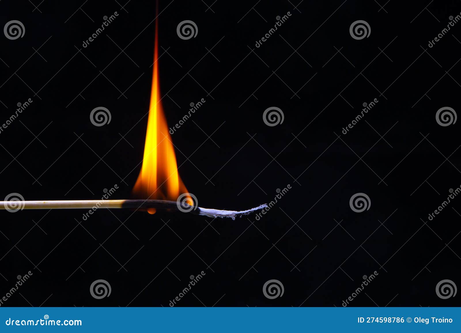 Burning Wood Match on a Dark Background Closeup. Burning Tree Fire