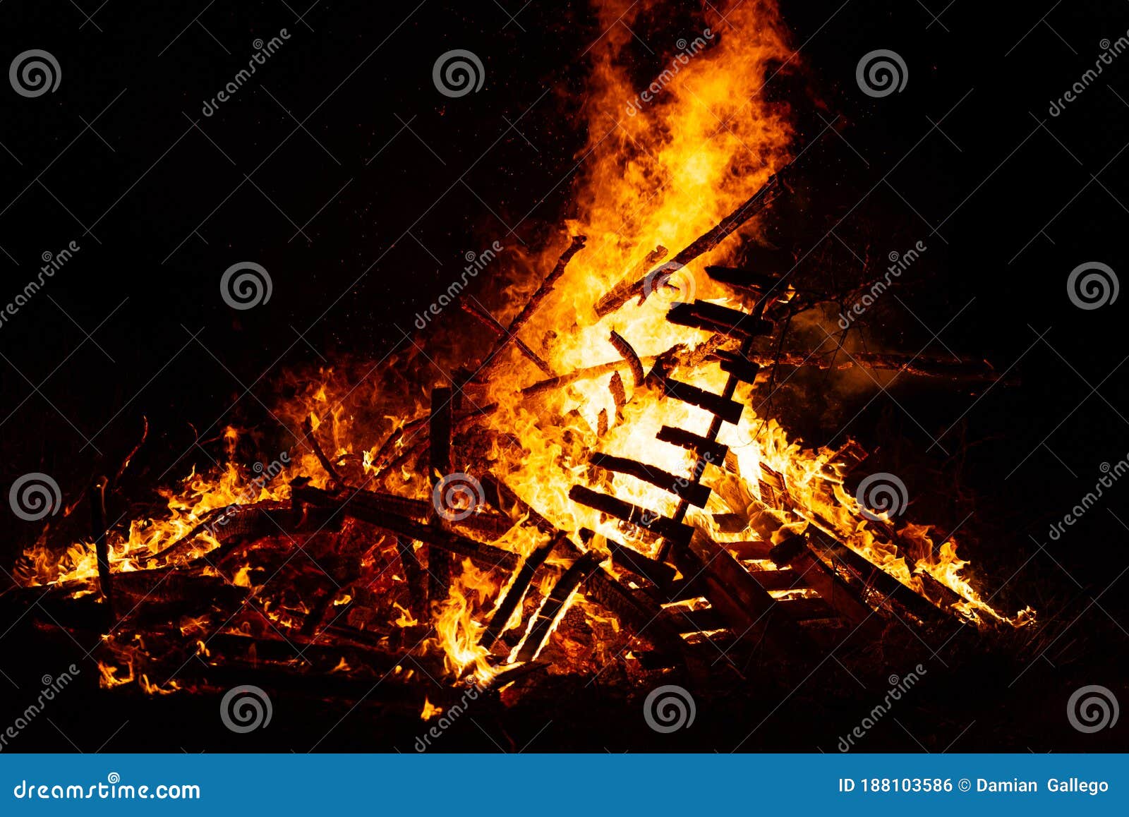 Burning Woods with Fire Sparks, Flame and Smoke at Night Fireplace