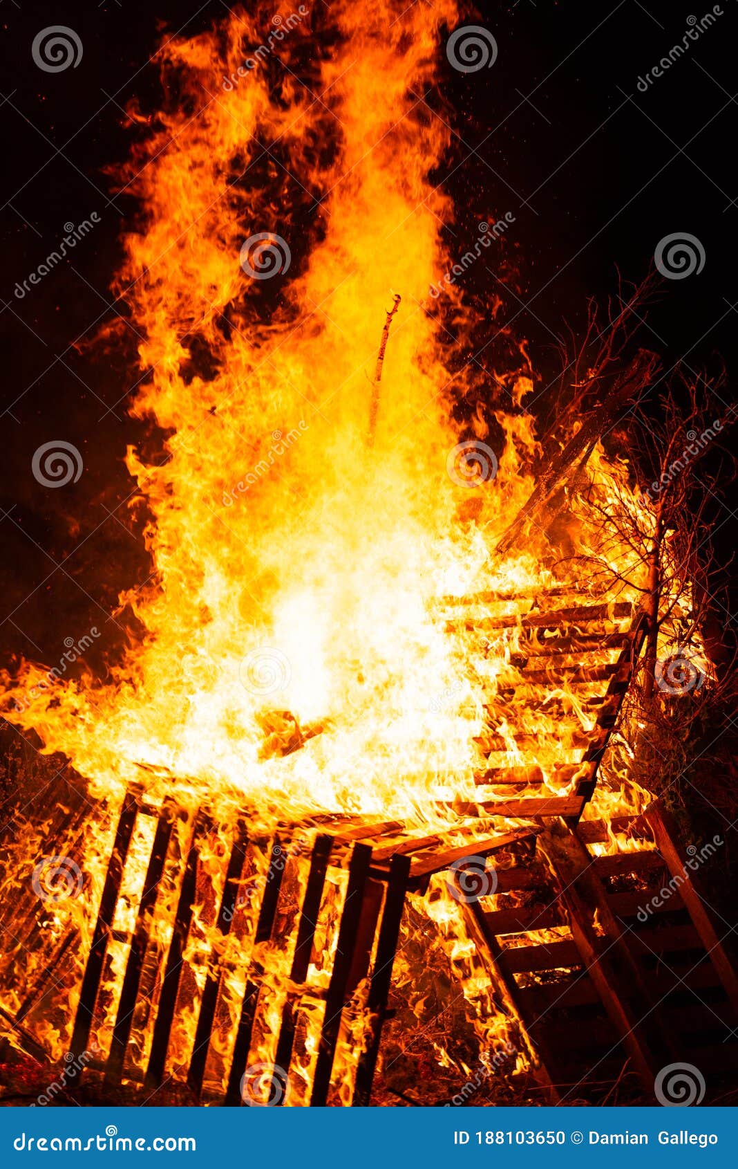 Burning Woods with Fire Sparks, Flame and Smoke at Night Fireplace