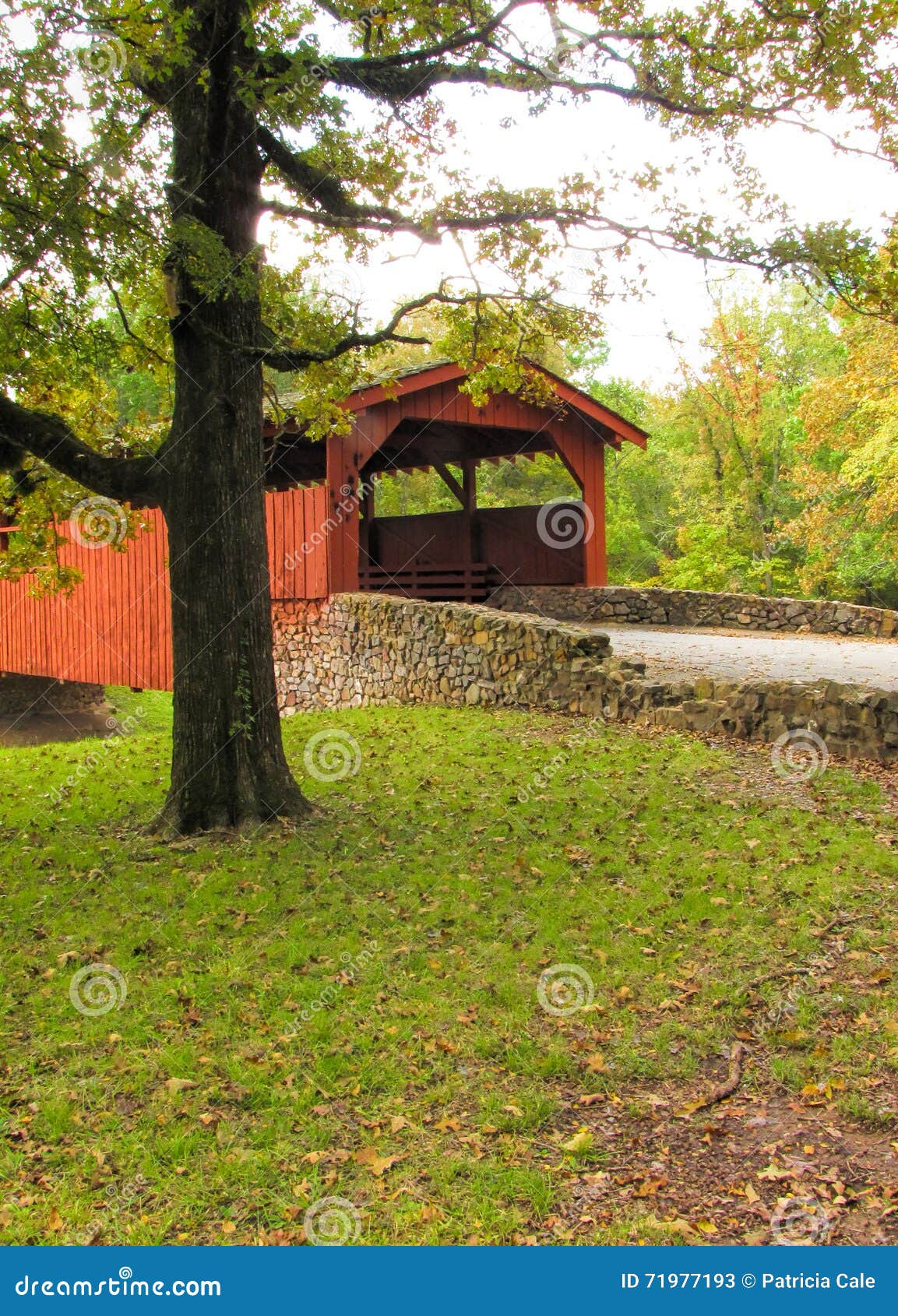 burns park covered bridge 3