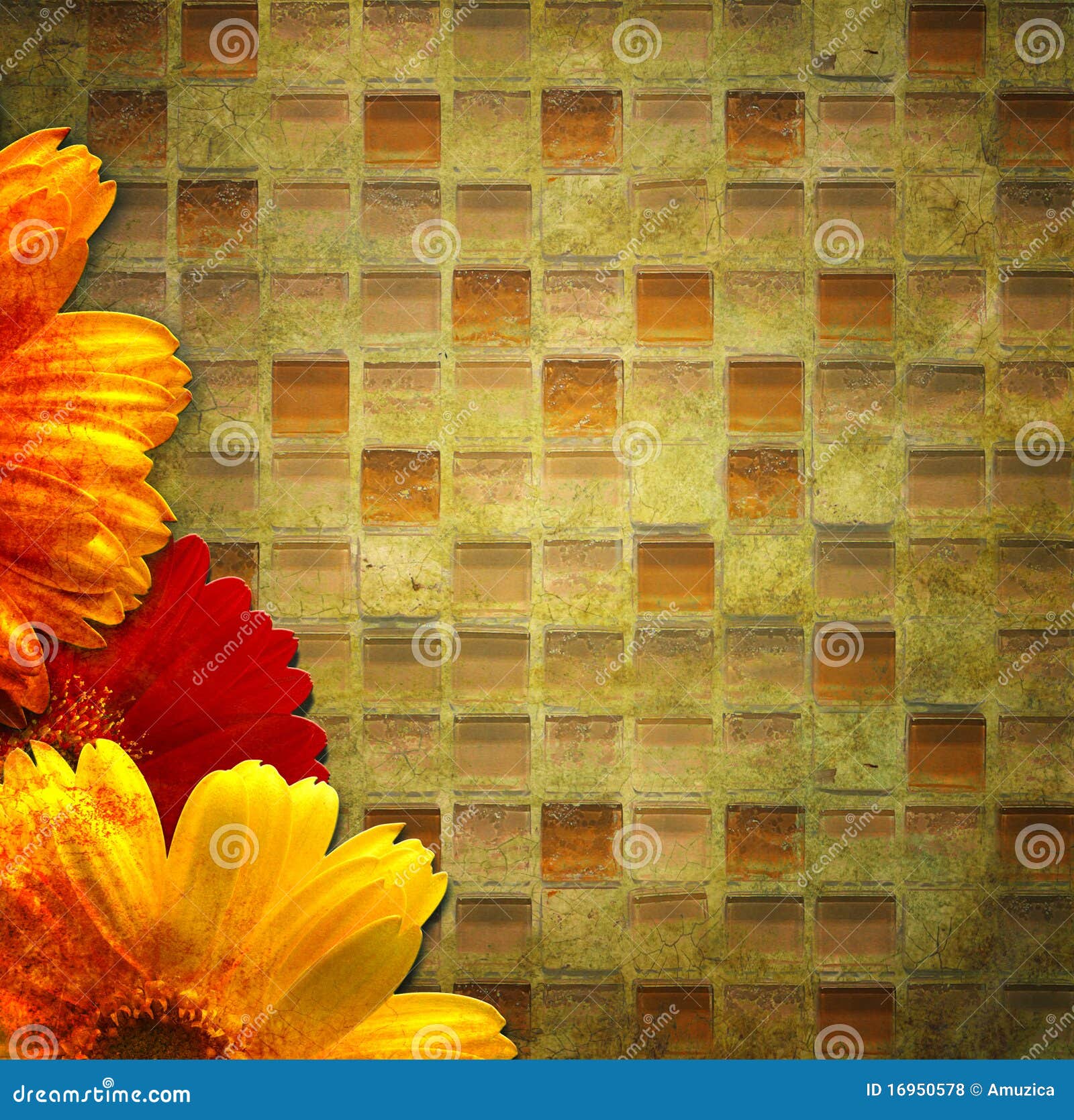 Burnt floral background stock photo. Image of daisy, artistic - 16950578