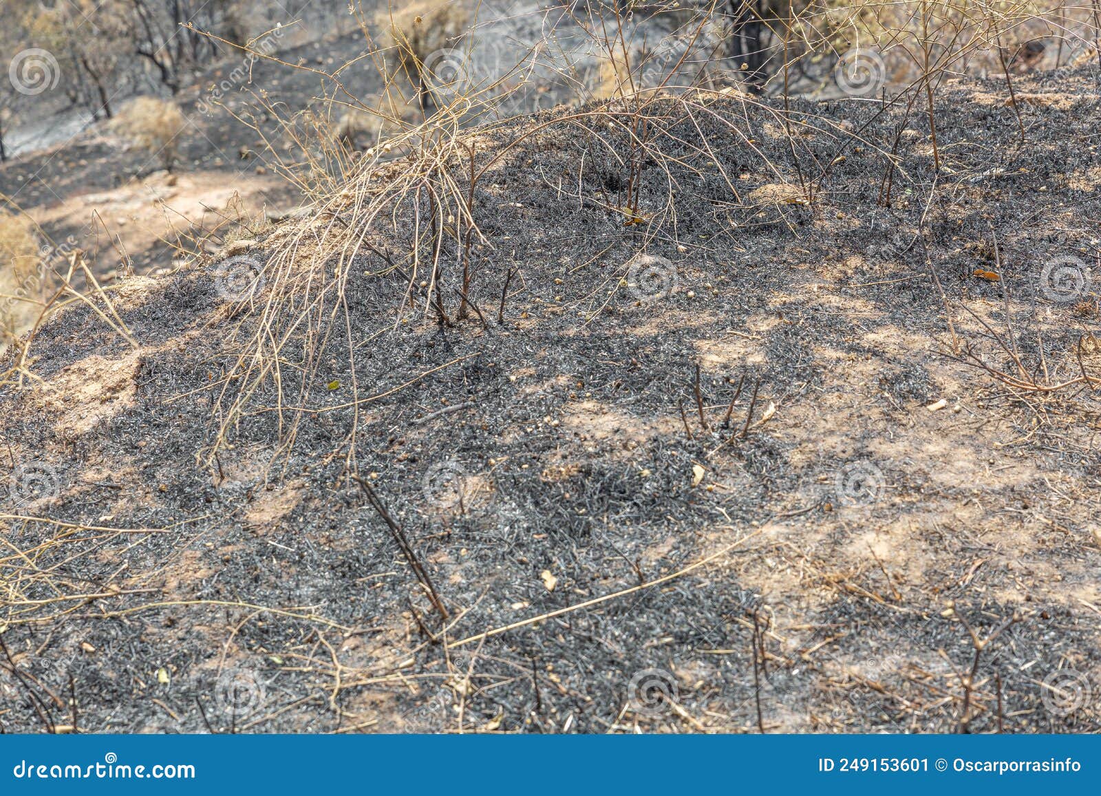 Burnt Land after a Devastating Fire that Promotes Climate Change Stock