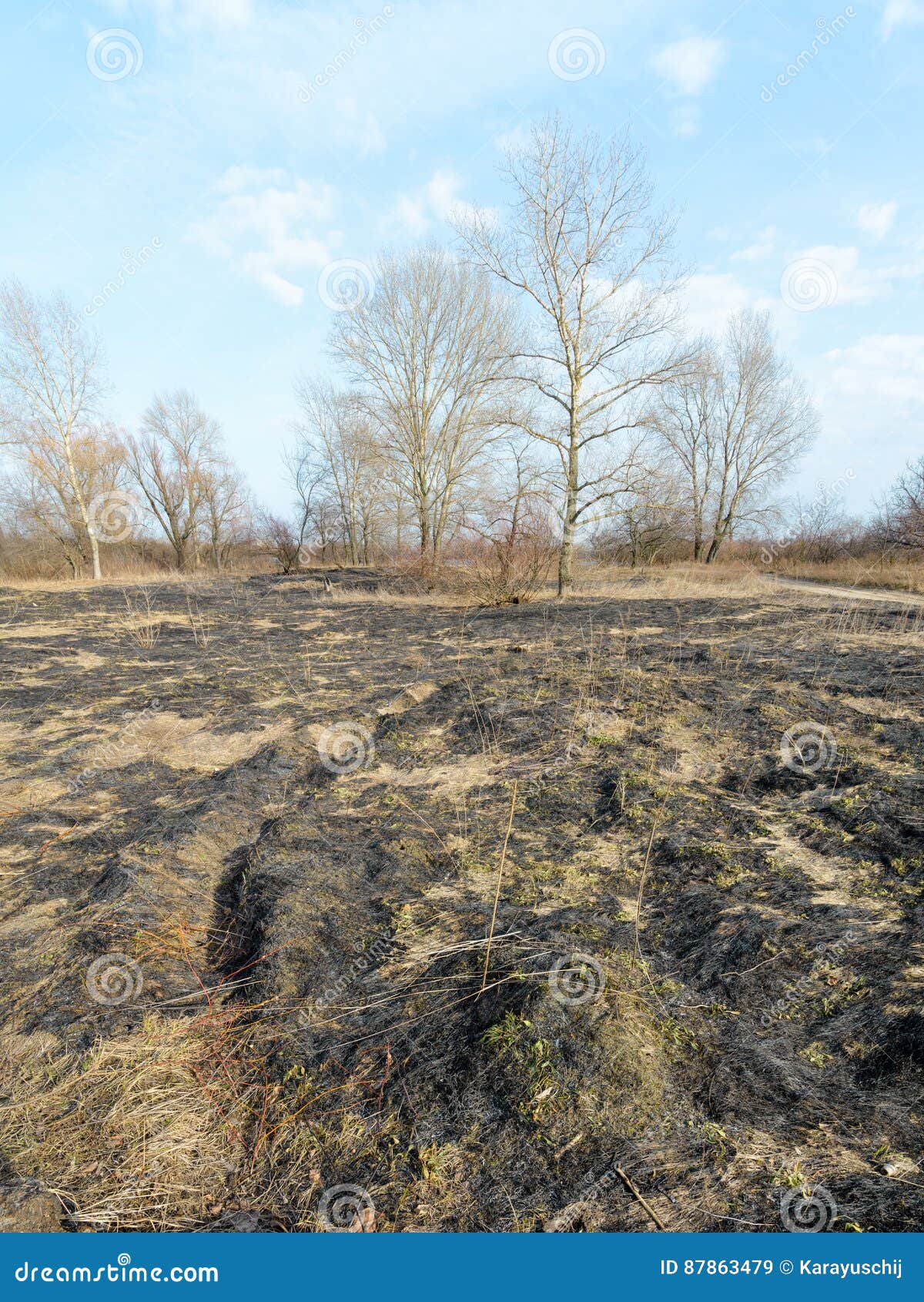 Burnt Land stock image. Image of danger, nature, field 87863479