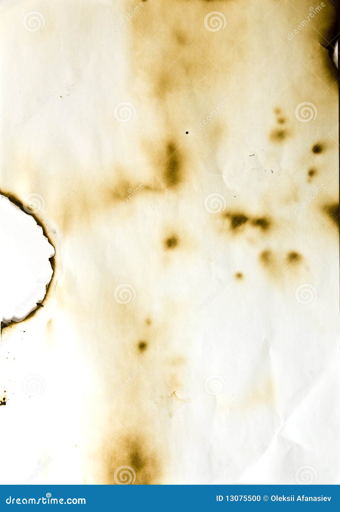 Burnt parchment paper stock photo. Image of dirty, damaged 13075500