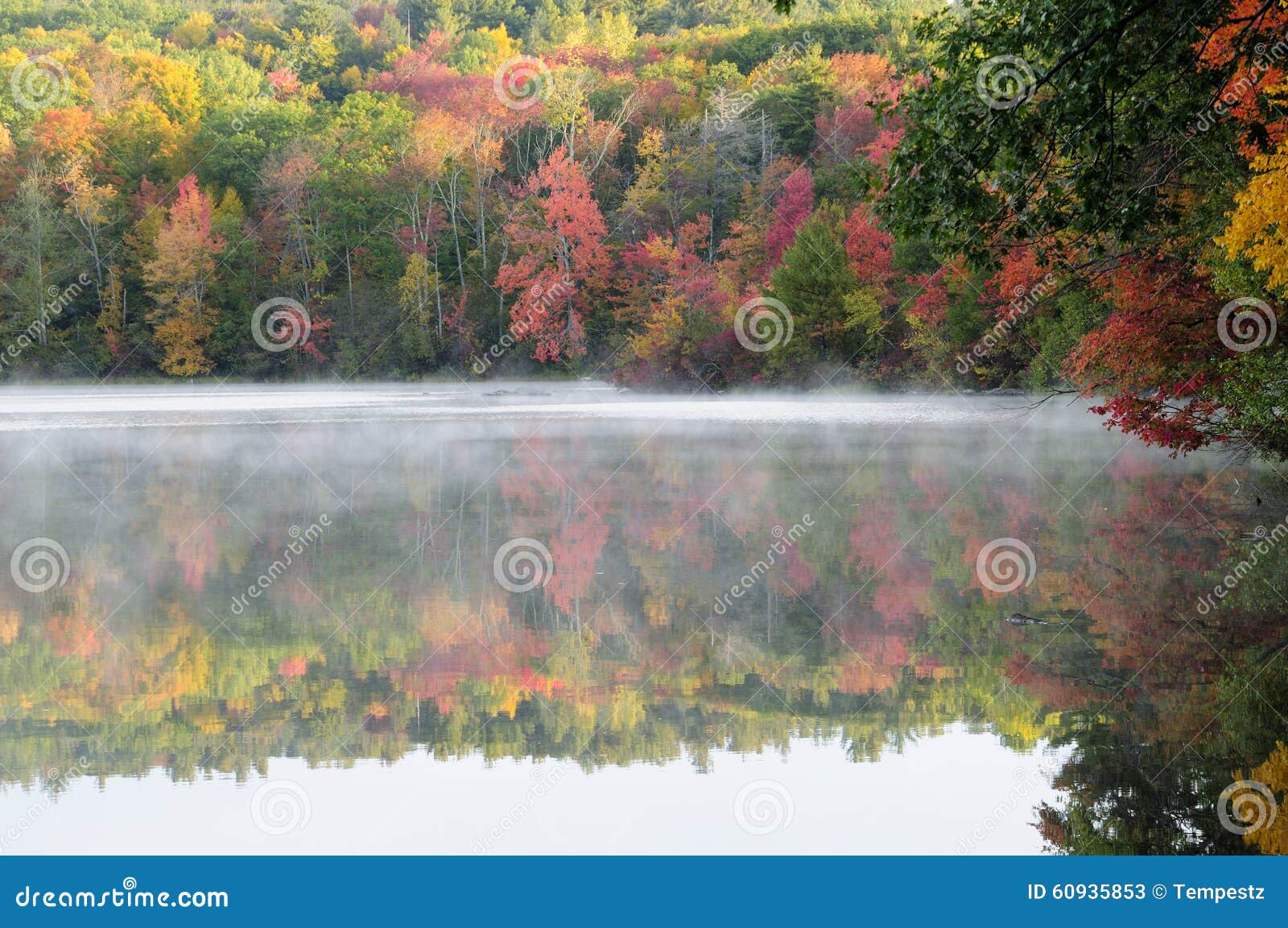 burr pond state park