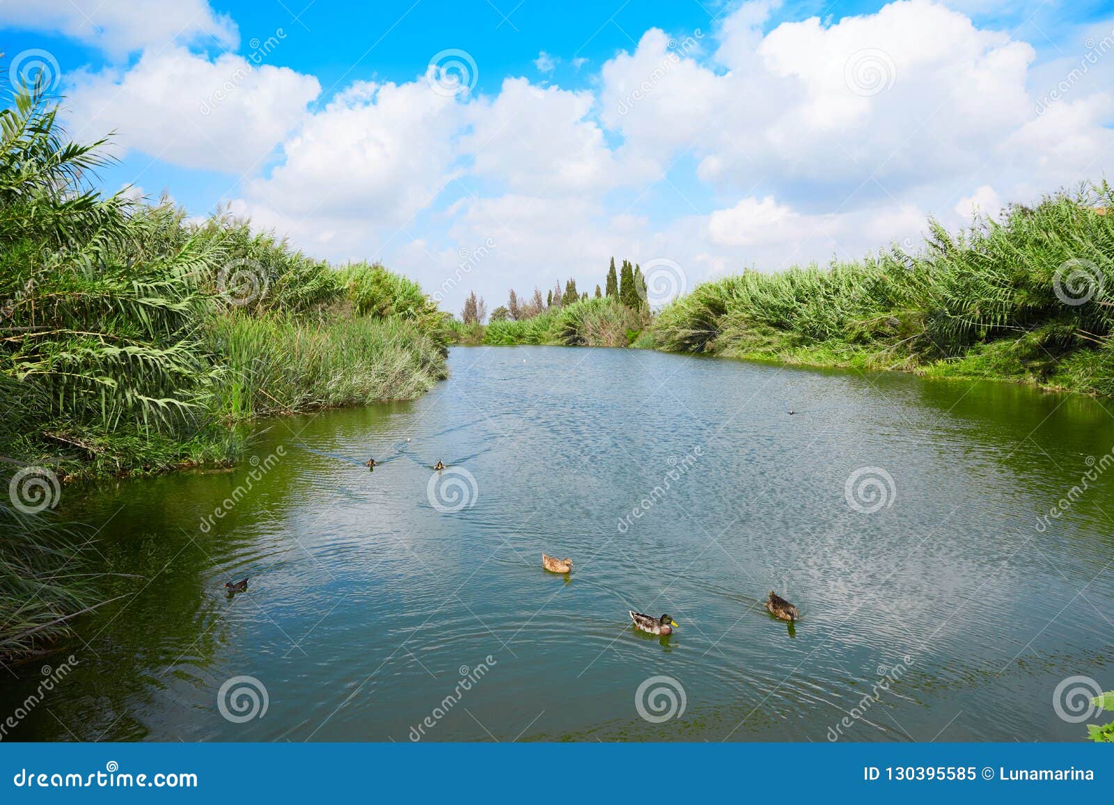 burriana river borriana in castellon