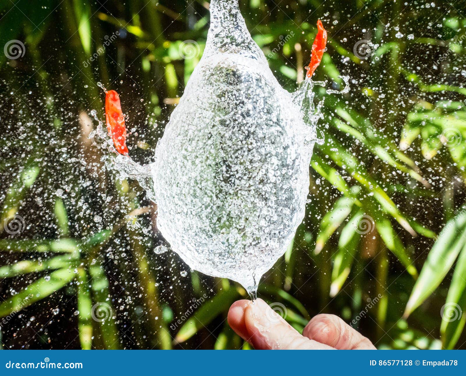 426 Water Balloon Burst Stock Photos Free & RoyaltyFree Stock Photos