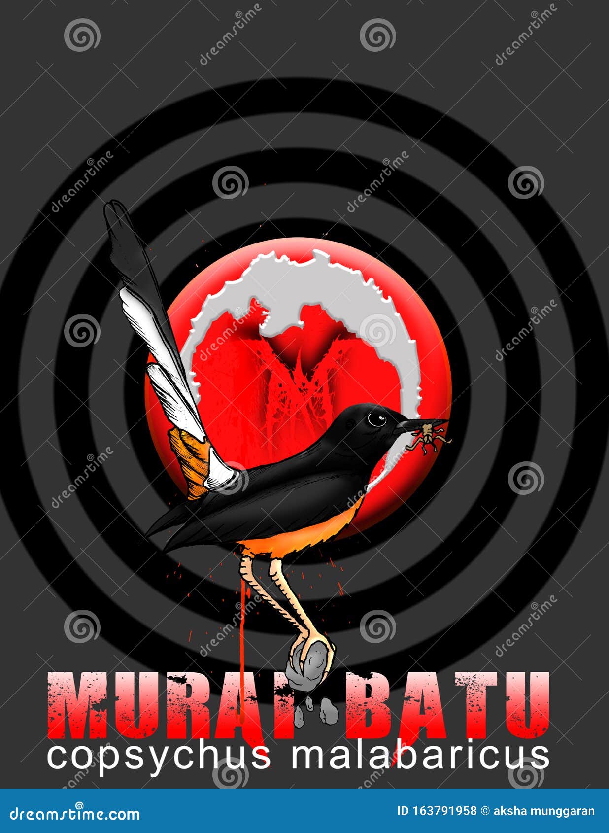 31 Gambar Burung Murai Untuk Logo Terbaik Lingkar Png