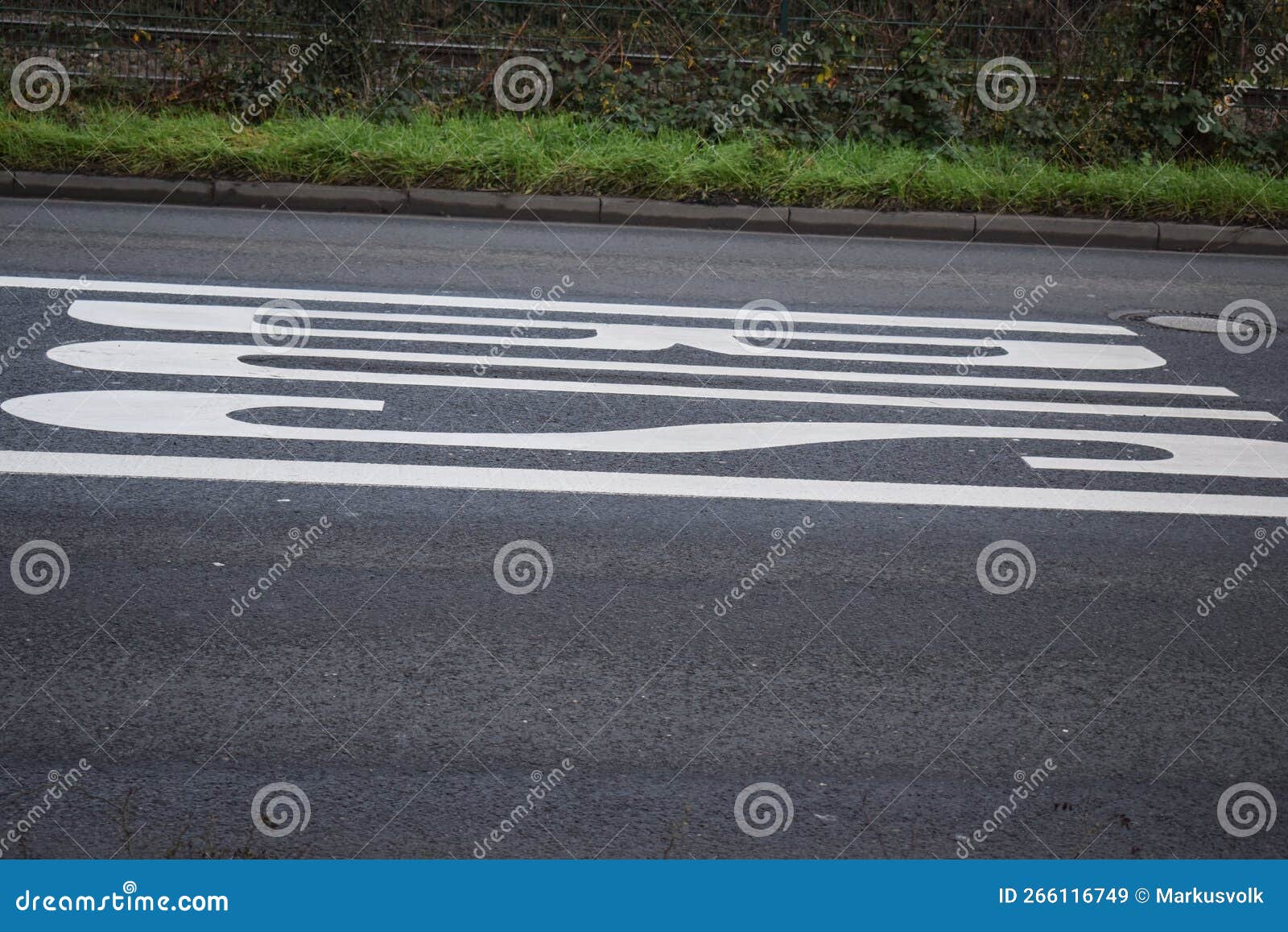 Bus Lane in the Middle of the Road Stock Image Image of highway