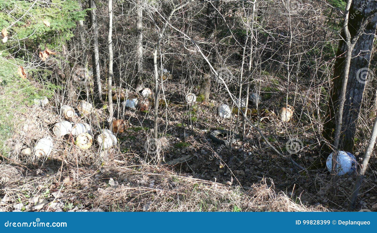 bush destruction in quebec. canada, north america.