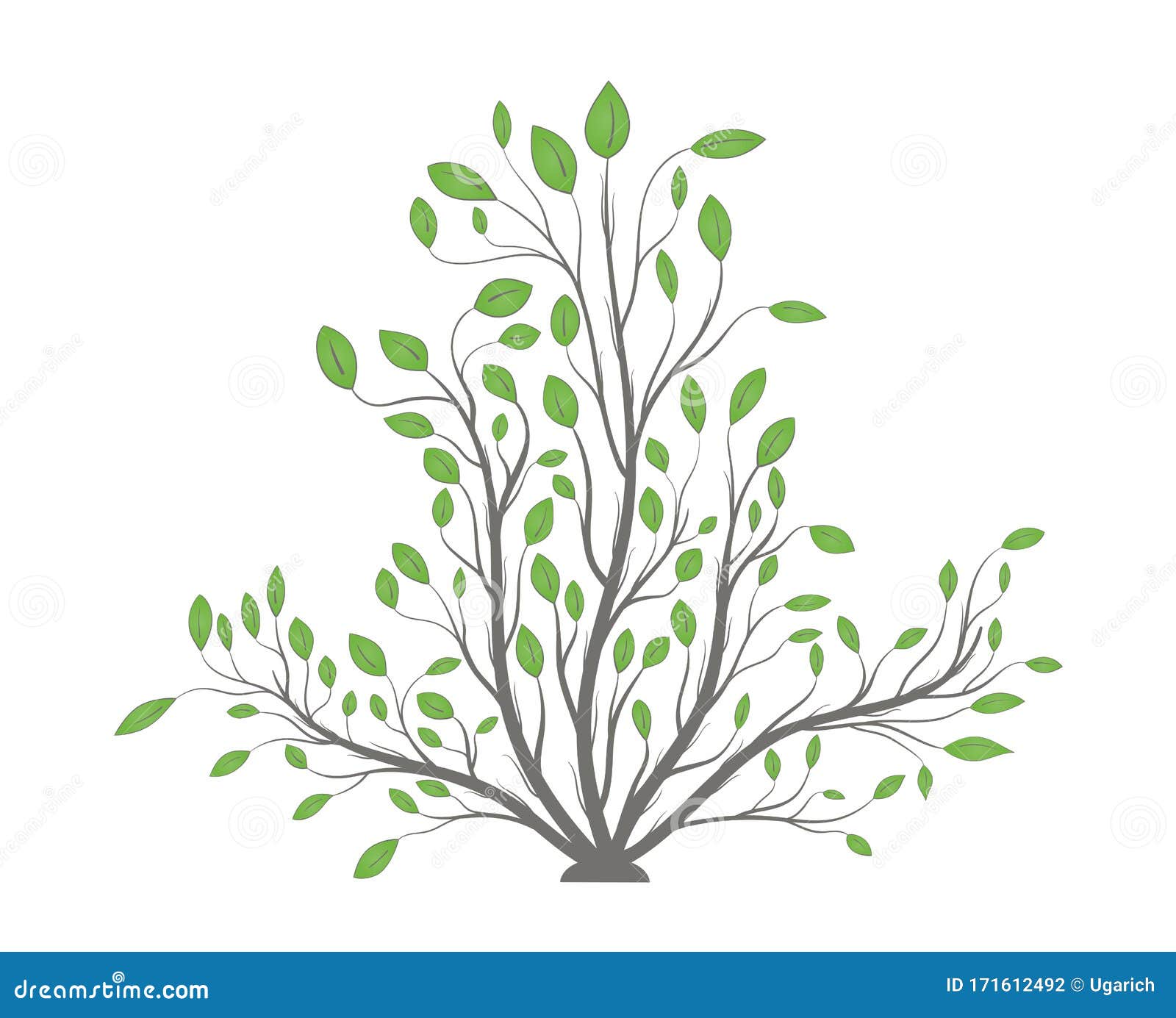 Bush Plants With Branches And Green Leaves Stock Vector Illustration